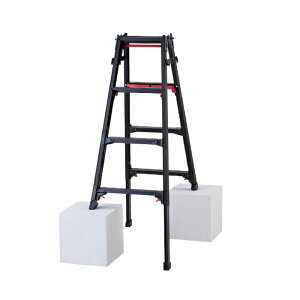 ���J��H��(Hasegawa) �n�Z�K�� �r���L�k�r�� �V���K�}�� �u���b�N 4�i (RYRB12 6010)