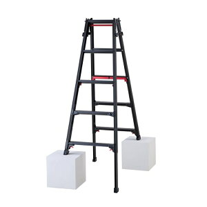 ���J��H��(Hasegawa) �n�Z�K�� �r���L�k�r�� �V���K�}�� �u���b�N 5�i (RYRB15 6010)