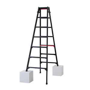 ���J��H��(Hasegawa) �n�Z�K�� �r���L�k�r�� �V���K�}�� �u���b�N 7�i (RYRB21 6010)