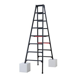���J��H��(Hasegawa) �n�Z�K�� �r���L�k����p�r�� �V���K�}�� �u���b�N 8�i (RYRB24 6010)