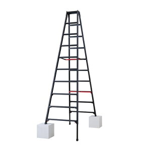 ���J��H��(Hasegawa) �n�Z�K�� �r���L�k����p�r�� �V���K�}�� �u���b�N 10�i (RYRB30 6010)