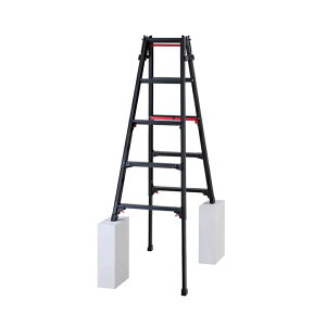 ���J��H��(Hasegawa) �n�Z�K�� �r���L�k���A���~�͂������p�r�� RYRLB�^ 5�i (RYRLB15 6010)
