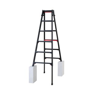 ���J��H��(Hasegawa) �n�Z�K�� �r���L�k���A���~�͂������p�r�� RYRLB�^ 6�i (RYRLB18 6010)