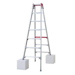 ���J��H��(Hasegawa) �n�Z�K�� �r���L�k�r�� �V���K�}�� 7�i (RYR21A 6010)