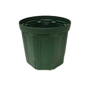 ��o K �X���b�g��JAN�t CSM-300 ���X�O���[��