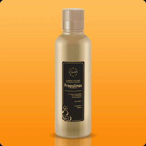 yݑ[\zv|XS[h600ml邨vXBqA_z Ľł߂Đ􂢗}EXEHbV 600ml ]̕ɂ͍K^񂹂svcFMv[