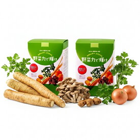 【送料無料2個セット】【オーナーイチ押し】医学博士堀田忠弘考案『野菜力で輝け』2個セット野菜力でDetox★プレミアムおまけ付
