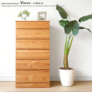 6i`FXg m^X nC`FXg 60cm A_[ A_[C 5ïo̓XCh[t VIEVE-CH60-6