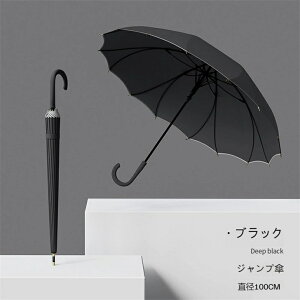 ԂтP P JP fB[X P 16{  V[X  JP Jp  傫 y 킢Pp  ꂢ i a n Vv ϕ ~J v 