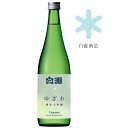 白瀧酒造 白瀧 ゆざわ 純米大吟醸 720ml 中口 冷酒 地酒 清酒 4合瓶 おいしい 美味しい 美味しい日本酒 美味しいお酒 珍しいお酒 新潟県日本酒 新潟 湯沢町 越淡麗 お取り寄せ 数量限定 贈り物 ギフト