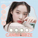 韓国 カラコン ワンデー カンナロゼ CANNA ROZE アイドルレンズ 10枚入り 1day 度なし 度あり [日本国内発送]