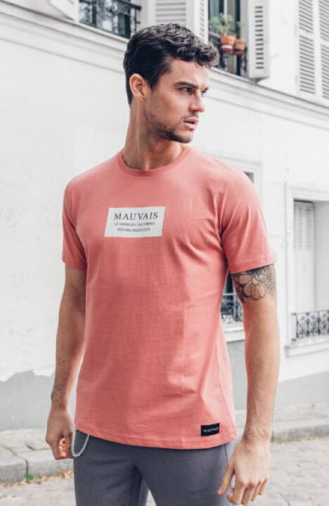 楽天市場 Mauvais モーヴェ メンズtシャツ ピンク半袖tシャツ メンズトップス 無地tシャツ カットソージムウエア トレーニングtシャツ スポーツウエアメンズファッション カジュアル おしゃれ かっこいいコーラルボックスロゴtシャツ ｊｐｌａｍｐ