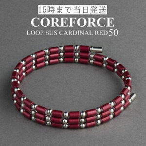 yVFzRAtH[X[v J[fBibh SUS TX 50cmX|[cANZT[ uXbg lbNX St ̊ vSt@[ g[jO ؃g AX[g v싅 NA