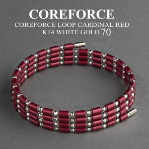 yVFzRAtH[X[v J[fBibh K14 zCgS[h 70cm X|[cANZT[ uXbg lbNX St ̊ vSt@[ g[jO ؃g AX[g 