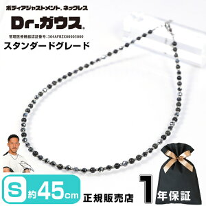 Dr.KEX hN^[KEX X^_[hO[h 45cm STCY ClbNX ANZT[ N ǗË@ CÊ X|[c AX[g  X|[cANZT[ Y fB