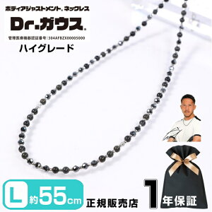 Dr.KEX hN^[KEX nCO[h 55cm LTCY ClbNX 10 18 zCgS[h ANZT[ ǗË@ CÊ X|[c AX[g  X|[cANZT[ j
