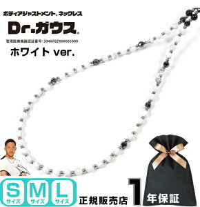 Dr.KEX hN^[KEX zCg ver. ClbNX VR nECg p[Xg[ ANZT[ N ǗË@ CÊ X|[c AX[g  X|[cANZT[ 