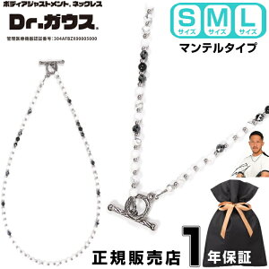 Dr.KEX hN^[KEX }e^Cv zCg ver. ClbNX VR nECg p[Xg[ ANZT[ N ǗË@ CÊ X|[c AX[g  X|[