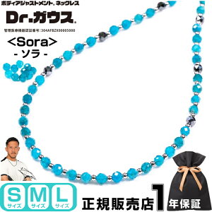 yViz Dr.KEX Sora hN^[KEX ClbNX ANZT[ N ǗË@ CÊ X|[c AX[g  Jo[ X|[cANZT[ VR Ap^Cg