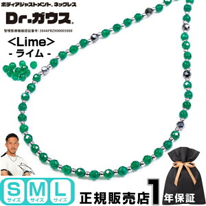 yViz Dr.KEX Lime hN^[KEX ClbNX ANZT[ N ǗË@ CÊ X|[c AX[g  Jo[ X|[cANZT[ VR O[A