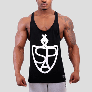 yyzGXs[GXeeBbN SP Aesthetics VIEp_n[hRAGu XgK[^NWV[N VANQUOSH  COuhDɂ߁yzyŒZz