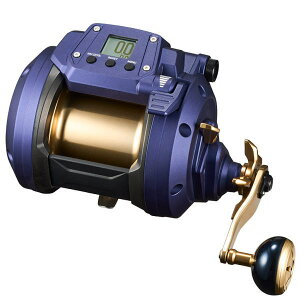 V[p[ 800 _C(DAIWA) nCp[^d[ 2023Nf@[ Dނ ނ 啨ނ L ARE Au{EY