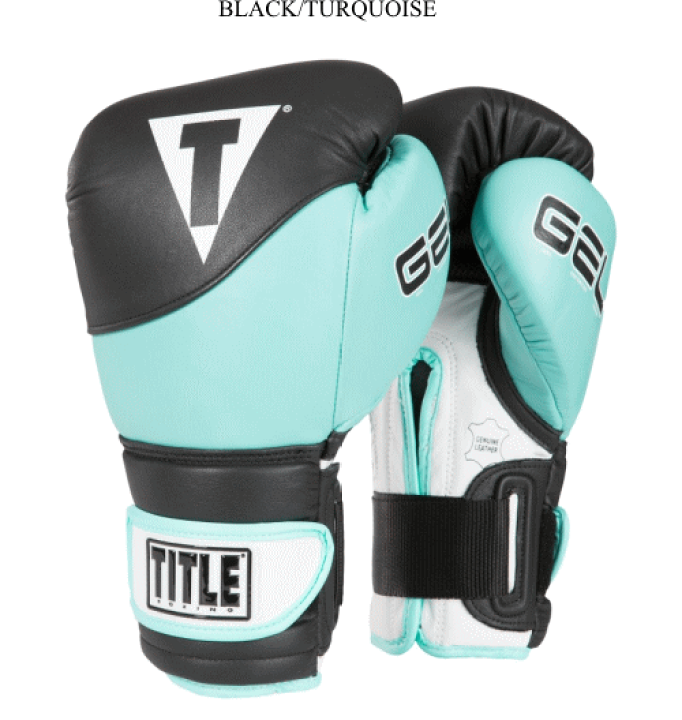 Title Boxing Gel World V2T バッググローブ M｜ボクシング