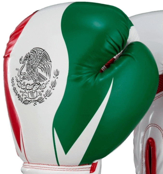 楽天市場】ボクシンググローブ タイトルボクシング Title Boxing
