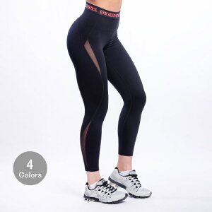 WGXeeBbNX Gym Aesthetics g[jOEGAfB[X ؃g MX nCEGXg X|[c^CcEGXg Soh NCbNhC g[jO MXtBW[N {g