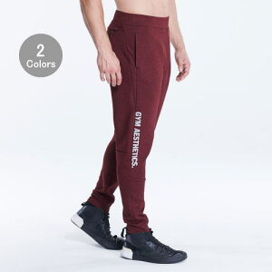 WGXeeBbNX Gym Aesthetics g[jOEGAWK[pc Y g[jOpc XtBbgAEg Wbv|Pbg CgEGCg gbNpctBW[N {