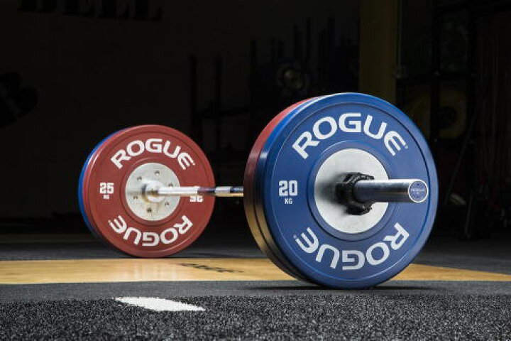楽天市場】ROGUE FITNESS バーベル プレートクロスフィット バンパー 