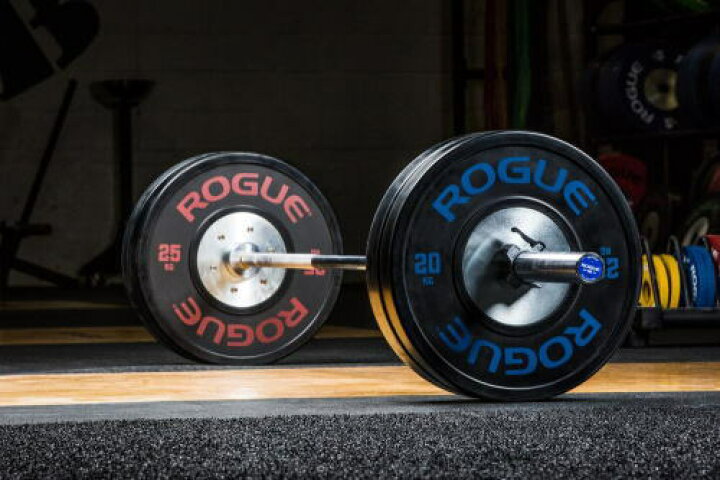 楽天市場】ROGUE FITNESS バーベル プレートクロスフィット バンパー 