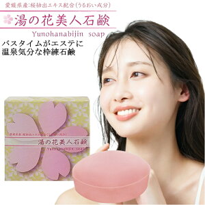 湯の花美人石鹸 スキンケア 洗顔 固形石鹸 100g 選べる 単品 2個セット 洗顔石鹸 日本製 枠練石鹸 洗顔フォーム 石けん 泡 毛穴 角質 くすみ しみ ハリ 女性 美白 保湿 男性 メンズ 洗顔 乾燥肌