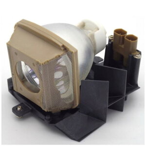 U5-111 TAXAN/^NT v pou̗pv yKiz120ۏ  ʏ[1Tԁ`