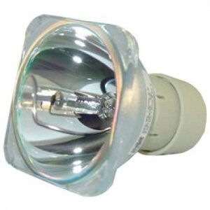 RICOH/リコー WX4130 交換用純正バルブ(球のみ)308942 OB リコー プロジェクター用 交換バルブ 純正互換品 通常納期1週間〜