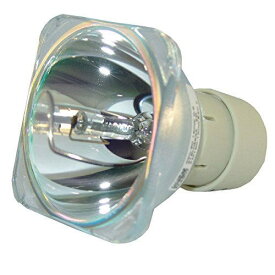 308991 OB RICOH/リコー プロジェクター用 純正バルブ（球のみ） Philips AM250WE20.9 リコー プロジェクター用交換バルブ 通常納期1週間〜