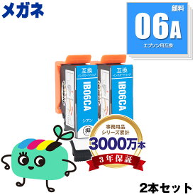 IB06CA シアン 顔料 お得な2本セット エプソン用 IB06A メガネ EPSON互換 インク カートリッジ 純正と同容量 (IB06 IB06CL5A PX-S5010R1 PX-S5010 PXS5010R1 PXS5010)