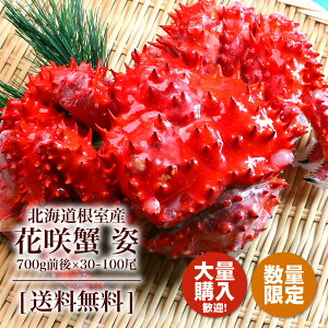 Jj  I ԍI kCY ԍKj p 1  700gO Zbg ԍ炩 Jjp pJj Jjʔ Iʔ Ⓚ C̍KMtg kC 䥂 {C  񂹃O 