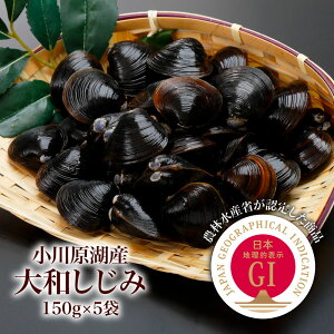 쌴ΎY a 150g×5 CN p j Mtg  Ε  XY