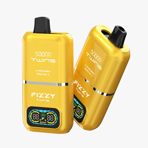 1���2�̖���؂�ւ��\�I����e��50,000��z���̎g���̂ēd�q�^�o�R�yFizzy Vape�zFizzy Twins 50000 PUFFS�m�S7��n�g���̂� �d�q�^�o�R �V�[�V�� 2 in 1 �f�B�X�|�[�U�u���y���r���[��300�~�N�[�|