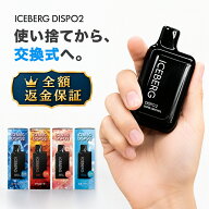 【全額返金保証付き】電子タバコ 本体 ICEBERG Dispo2 シーシャ ベイプ 持ち運びシーシャ 禁煙グッズ デ…