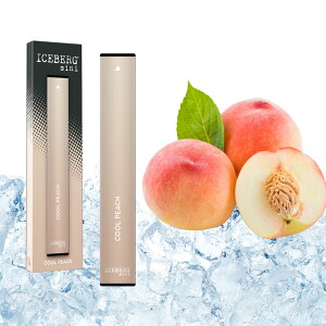 �����^�� �V�[�V���yICEBERG mini�z�R���p�N�g�ŏ[�d�̕K�v���Ȃ��m�g���̂ăV�[�V���n���o�� / 400�p�t�i�A�C�X�o�[�O�~�j�j�d�q�^�o�R VAPE�X�^�[�^�[�L�b�g�y���r���[��500�~�N�[�|���z