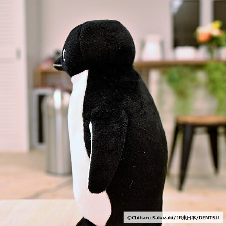 楽天市場 Suicaのペンギン ぬいぐるみマスコットm Suicaのペンギン Suica スイカ ペンギン Jr東日本 ぬいぐるみ M Jr東日本商事いいものステーション