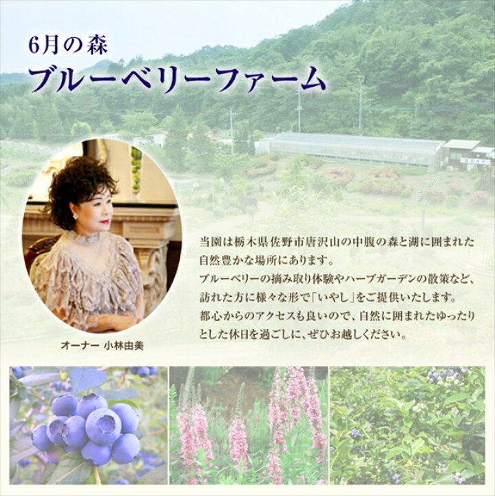 楽天市場 6月の森 ブルーベリーチーズケーキ 6月の雪 送料無料 スイーツ チーズケーキ 冷凍 お中元 お歳暮 ブルーベリー Jr東日本商事いいものステーション 楽天市場 6月の森 ブルーベリーチーズケーキ 6月の雪 送料無料 スイーツ チーズケーキ 冷凍 お中元 お歳暮 ブルーベリー Jr東日本商事いいものステーション
