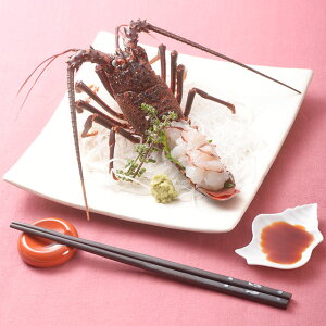 OYY ɗɐCV2@yɐCV hg ÉY  Oz