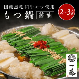 ＼100年続く　もつ鍋一藤／福岡県 国産黒毛和牛もつ鍋（2～3人前）　送料無料【 お取り寄せグルメ お中元 ギフト プレゼント 贈答 送料無料】