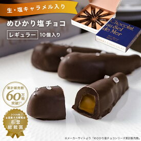 【全品P5倍&200円OFFクーポン！3/27 20:00_3/31 23:59】いわきチョコレートめひかり塩チョコ（レギュラー）10個 送料無料 【チョコレート 塩チョコ スイーツ お取り寄せスイーツ　生キャラメル入り　福島県 福島応援！】