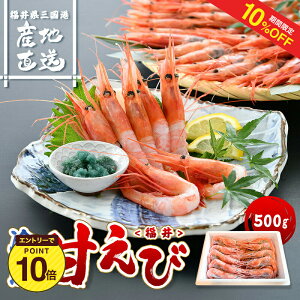 y10%OFF+Gg[P1012/4 20:00-12/11 1:59zO` zOÂ500g@yÂ zO  Y Ƃ낯 Zk i 񂹃Oz