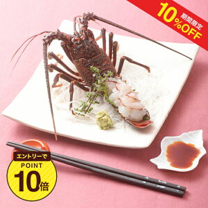 y10%OFF+Gg[P1012/4 20:00-12/11 1:59zOYY ɗɐCV2@yɐCV hg ÉY  Oz