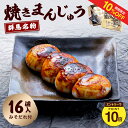 【10%OFF+エントリーP10★6/4 20:00-6/11 1:59】群馬名物　焼きまんじゅう16個　送料無料【上州 名物 群馬県 郷土料理…